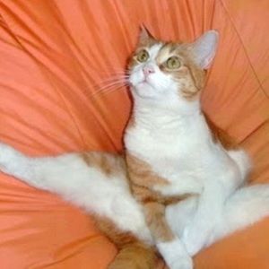 Meet your Posher, Katrina